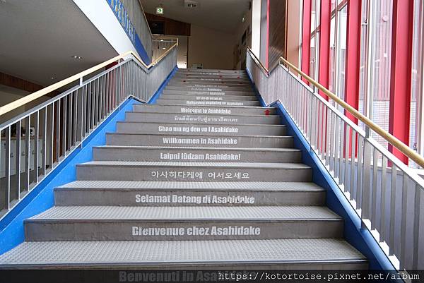 [日本北海道] 2025.6 夏日炎炎,旭岳健行賞雪