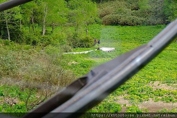 [日本北海道] 2025.6 夏日炎炎,旭岳健行賞雪