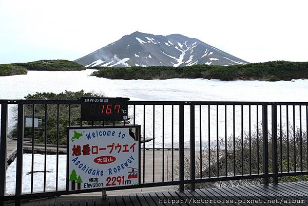 [日本北海道] 2025.6 夏日炎炎,旭岳健行賞雪