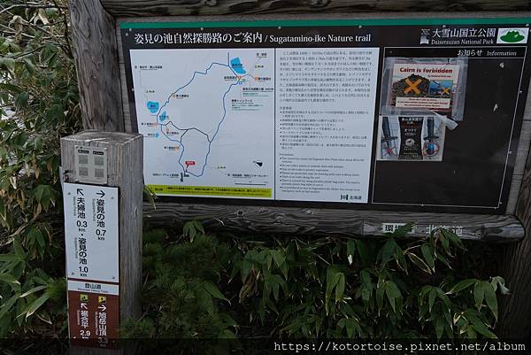 [日本北海道] 2025.6 夏日炎炎,旭岳健行賞雪