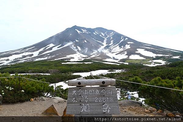 [日本北海道] 2025.6 夏日炎炎,旭岳健行賞雪
