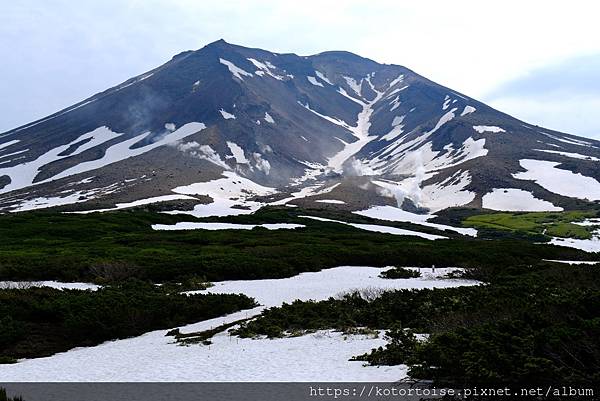 [日本北海道] 2025.6 夏日炎炎,旭岳健行賞雪