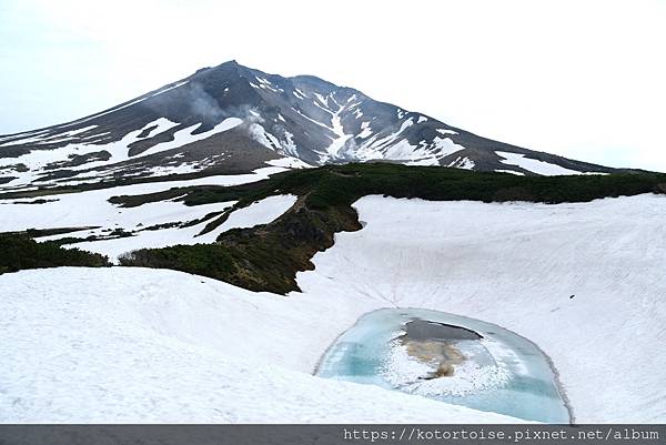 [日本北海道] 2025.6 夏日炎炎,旭岳健行賞雪