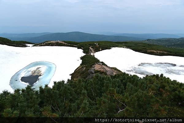 [日本北海道] 2025.6 夏日炎炎,旭岳健行賞雪