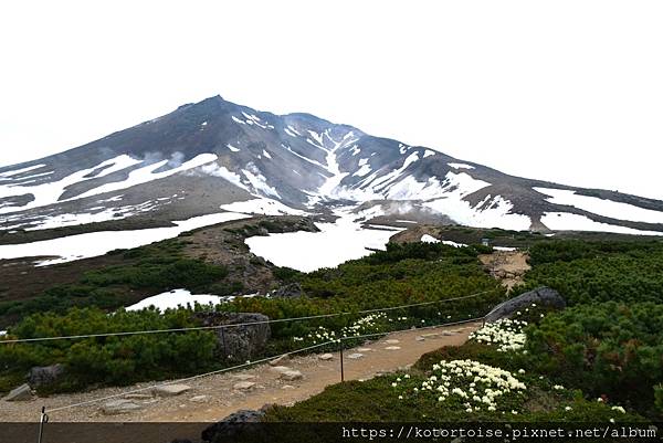 [日本北海道] 2025.6 夏日炎炎,旭岳健行賞雪