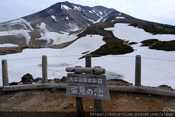 [日本北海道] 2025.6 夏日炎炎,旭岳健行賞雪