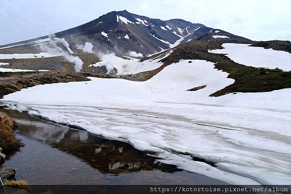 [日本北海道] 2025.6 夏日炎炎,旭岳健行賞雪