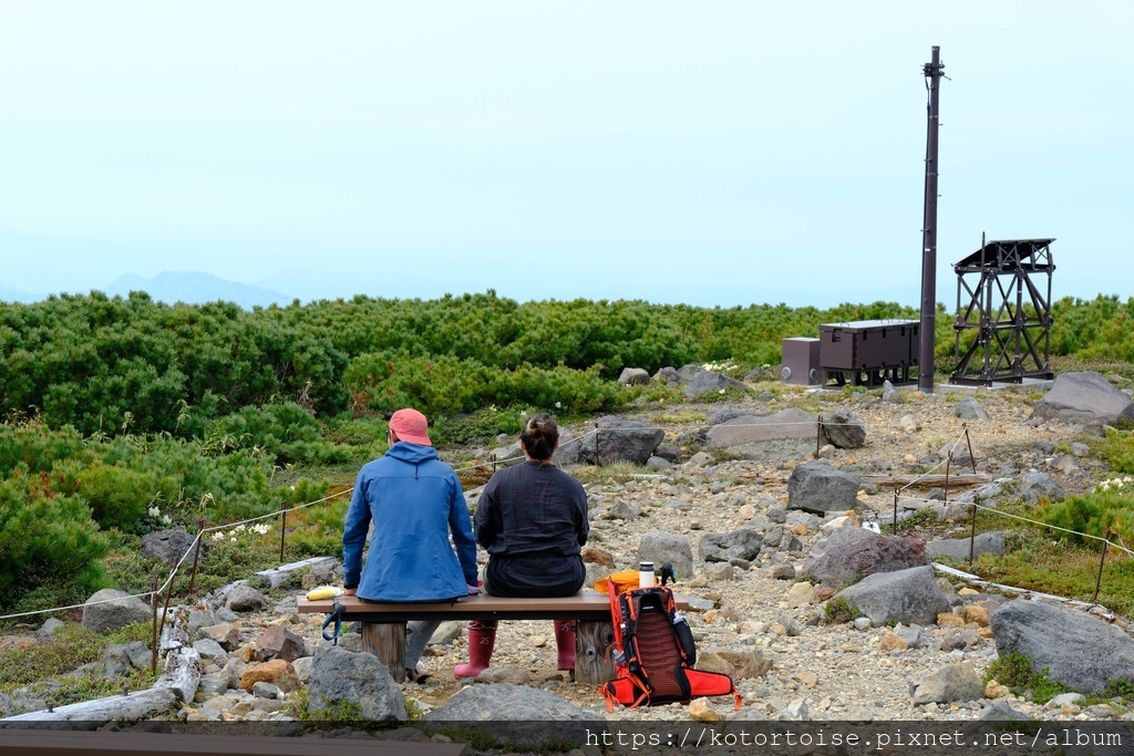 [日本北海道] 2025.6 北海道七天六夜自駕趣