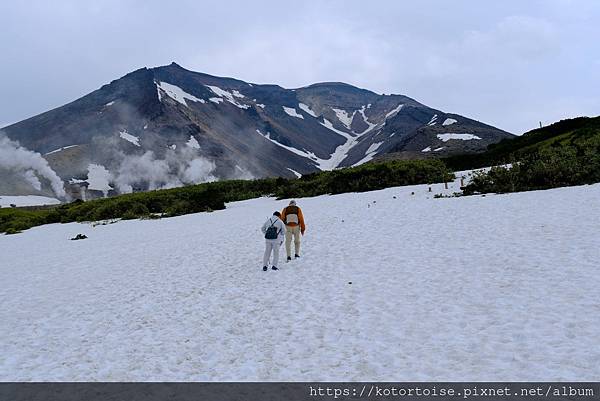 [日本北海道] 2025.6 夏日炎炎,旭岳健行賞雪