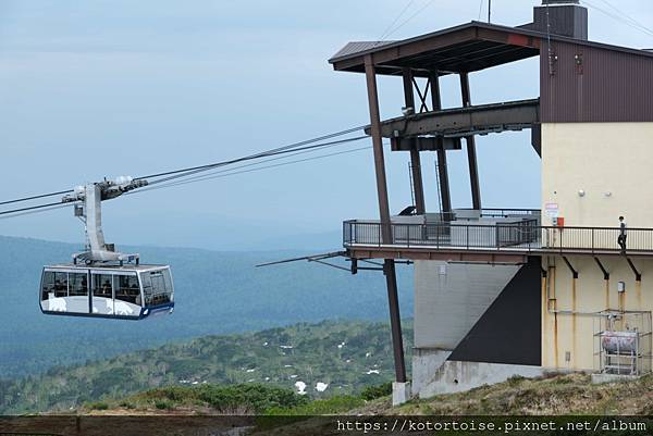 [日本北海道] 2025.6 夏日炎炎,旭岳健行賞雪