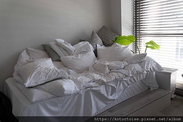 [日本北海道] 2025.6 住在円山公園旁,參訪北海道神宮