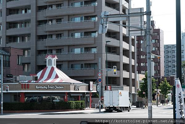 [日本北海道] 2025.6 住在円山公園旁,參訪北海道神宮
