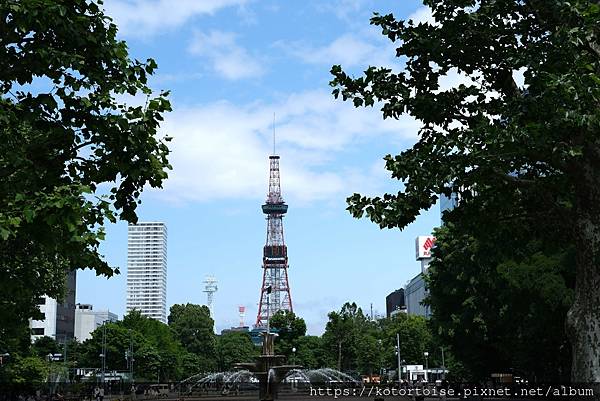 [日本北海道] 2025.6 北海道七天六夜自駕趣