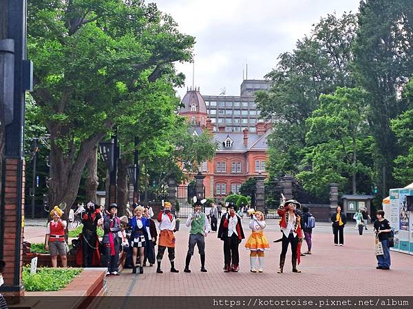 [日本北海道] 2025.6 北海道七天六夜自駕趣