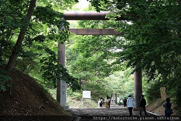 [日本北海道] 2025.6 住在円山公園旁,參訪北海道神宮