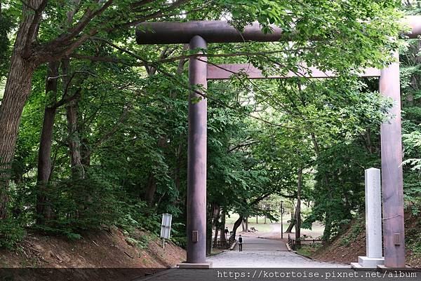 [日本北海道] 2025.6 住在円山公園旁,參訪北海道神宮