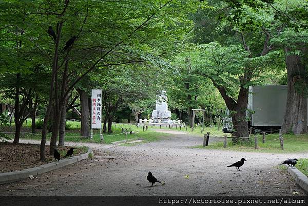 [日本北海道] 2025.6 住在円山公園旁,參訪北海道神宮