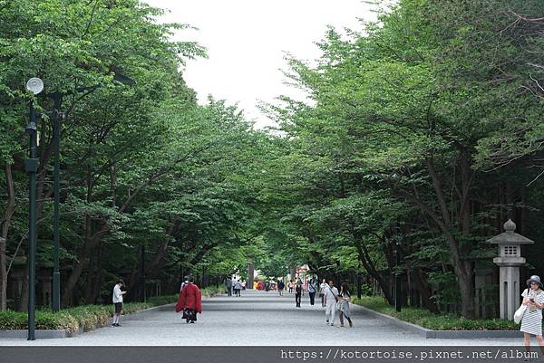 [日本北海道] 2025.6 住在円山公園旁,參訪北海道神宮