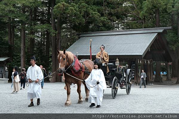 [日本北海道] 2025.6 住在円山公園旁,參訪北海道神宮