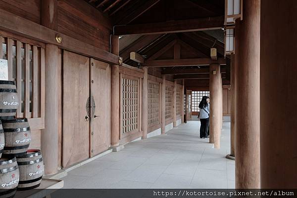 [日本北海道] 2025.6 住在円山公園旁,參訪北海道神宮