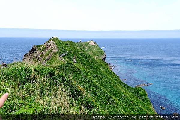 [日本北海道] 2025.6 北海道七天六夜自駕趣