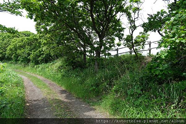 [日本北海道] 2025.6 積丹半島三景,尋找那個藍