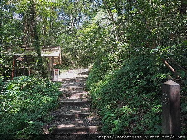 [台灣/宜蘭] 2025.7 抹茶山上享受熱情餵食