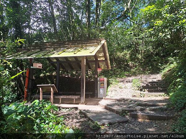 [台灣/宜蘭] 2025.7 抹茶山上享受熱情餵食