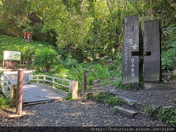 [台灣/宜蘭] 2025.7 抹茶山上享受熱情餵食