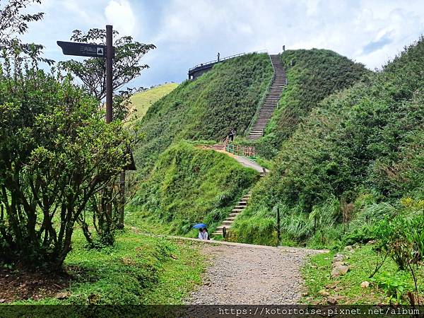 [台灣/宜蘭] 2025.7 抹茶山上享受熱情餵食