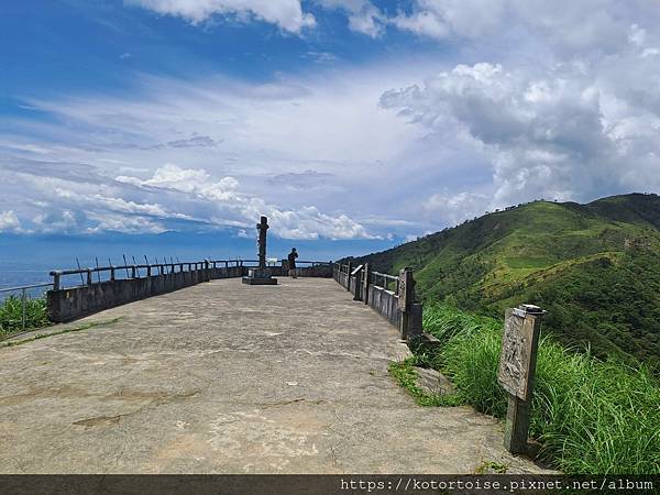 [台灣/宜蘭] 2025.7 抹茶山上享受熱情餵食