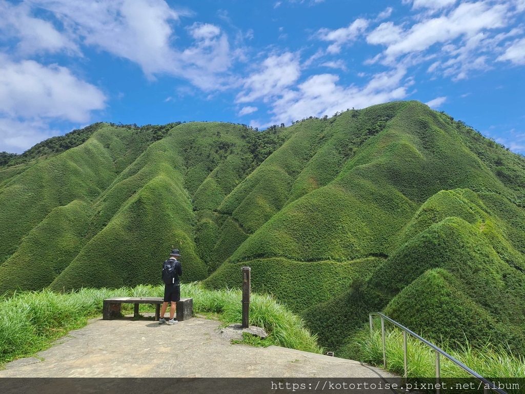 [台灣/宜蘭] 2025.7 抹茶山上享受熱情餵食