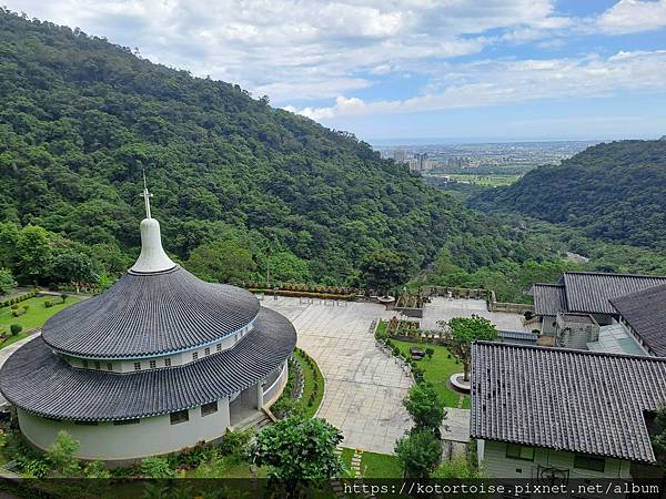 [台灣/宜蘭] 2025.7 抹茶山上享受熱情餵食