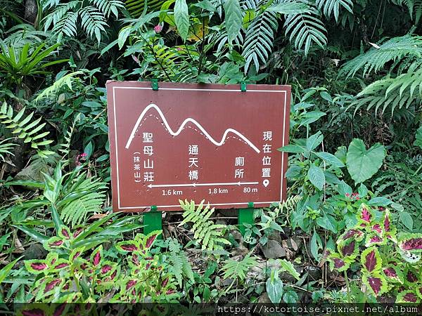 [台灣/宜蘭] 2025.7 抹茶山上享受熱情餵食