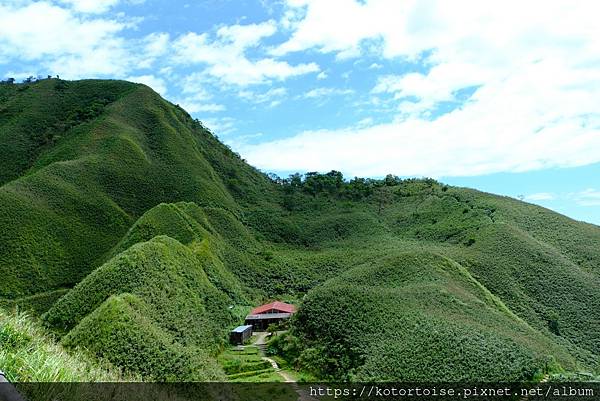 [台灣/宜蘭] 2025.7 抹茶山上享受熱情餵食