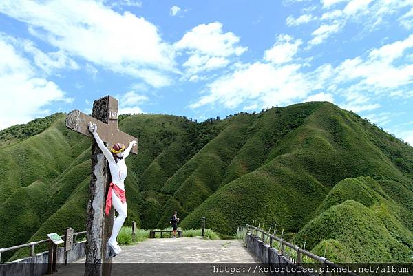 [台灣/宜蘭] 2025.7 抹茶山上享受熱情餵食