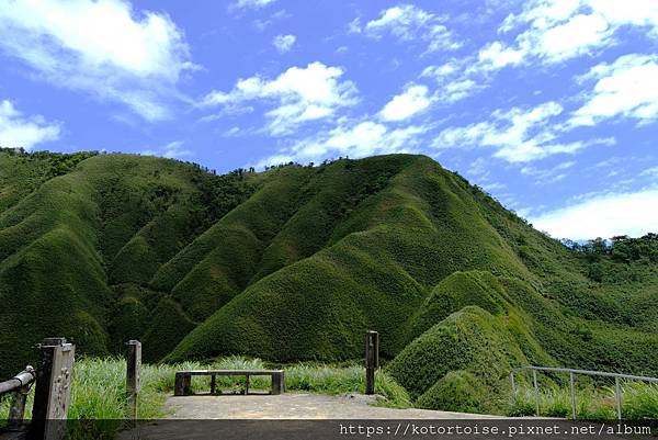 [台灣/宜蘭] 2025.7 抹茶山上享受熱情餵食