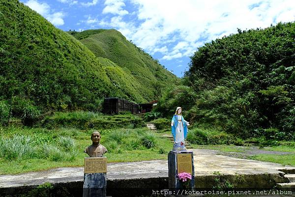 [台灣/宜蘭] 2025.7 抹茶山上享受熱情餵食