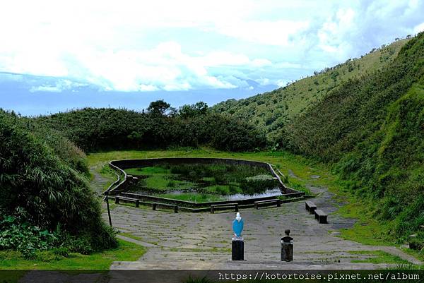 [台灣/宜蘭] 2025.7 抹茶山上享受熱情餵食