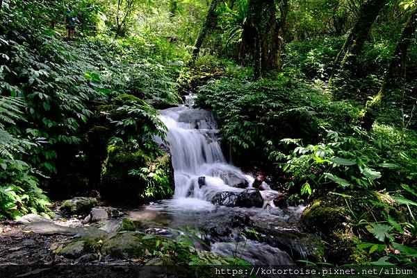 [台灣/宜蘭] 2025.7 抹茶山上享受熱情餵食