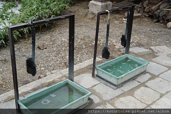 [日本北海道] 2025.6 夏日炎炎,旭岳健行賞雪