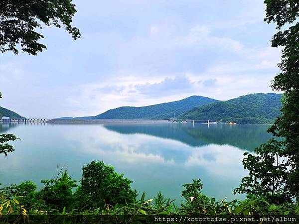 [日本北海道] 2025.6 野趣美瑛