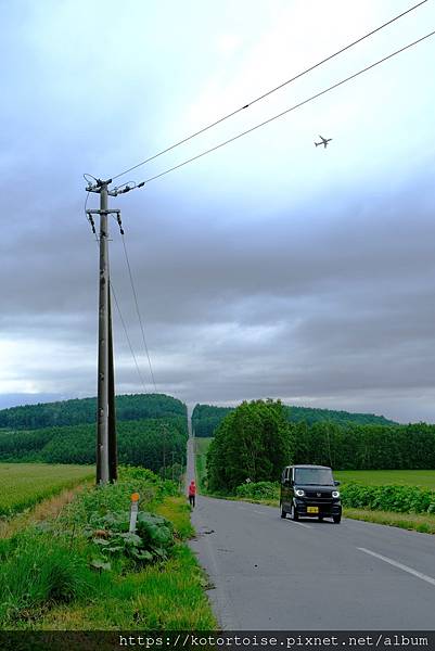 [日本北海道] 2025.6 野趣美瑛