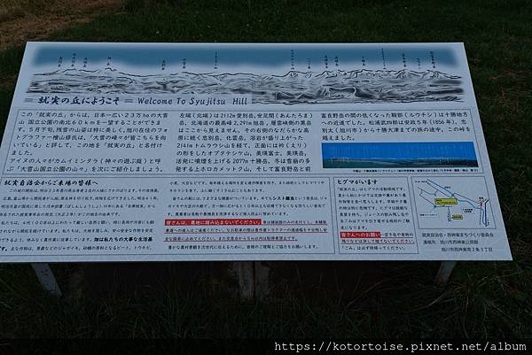 [日本北海道] 2025.6 野趣美瑛