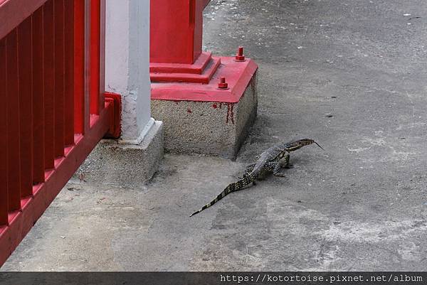 [泰國曼谷] 2025.10 河道上,和當地人一起吹風賞景