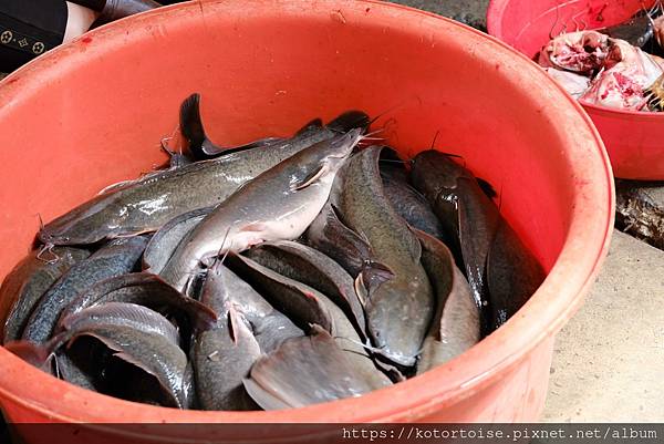 [泰國曼谷] 2025.10 跟著一日團參訪丹嫩莎朵水上市場