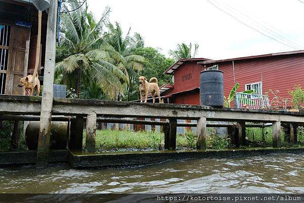 [泰國曼谷] 2025.10 跟著一日團參訪丹嫩莎朵水上市場