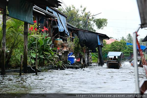 [泰國曼谷] 2025.10 跟著一日團參訪丹嫩莎朵水上市場