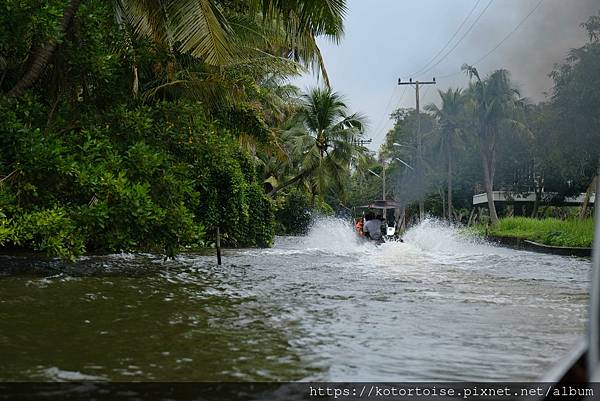 [泰國曼谷] 2025.10 跟著一日團參訪丹嫩莎朵水上市場