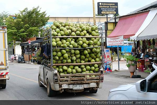 [泰國曼谷] 2025.10 跟著一日團參訪丹嫩莎朵水上市場